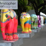 elephant-parade-bangkok-07