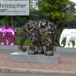 elephant-parade-bangkok-12