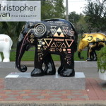elephant-parade-bangkok-13