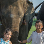 Children at King's Cup Elephant Polo