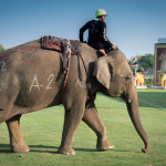 bangkok-elephant-polo-06
