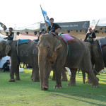 bangkok-elephant-polo-16
