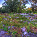 DSC_3601_2_tonemapped