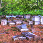 DSC_3606_7_tonemapped