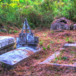 DSC_3614_5_tonemapped