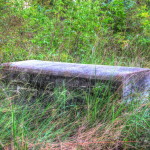 DSC_3618_19_20_tonemapped