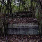 Fairlane Cemetery