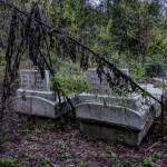 Fairlane Cemetery