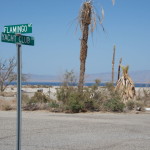 Salton-Sea-04