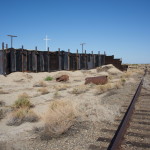 Salton-Sea-16