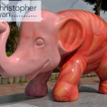 elephant-parade-bangkok-27